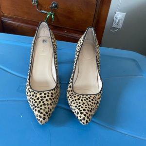 Pumps- Tiger print